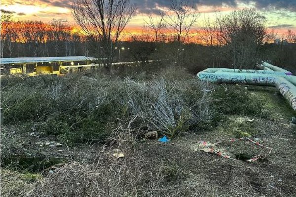 Baumfällungen an der Gehrenseestraße