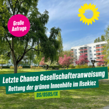 Grüner Innenhof im Ilsekiez