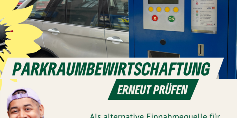 Ein Parkscheinautomat vor parkenden Autos, Porträt von Dante Davis